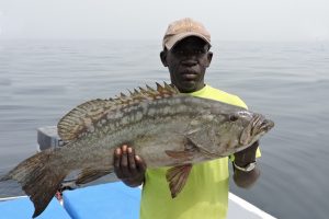 Senegal (20)